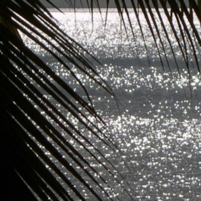 Anna Crouse Podcast Music