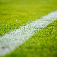 #116 Como antecipar o bom desempenho