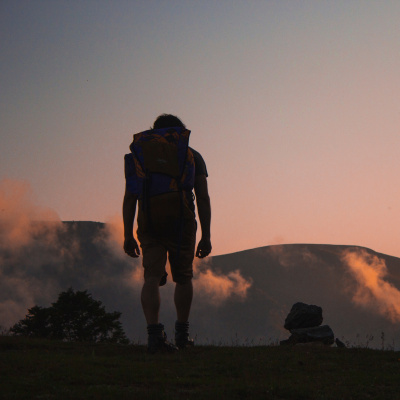 Treinador De Cérebros
