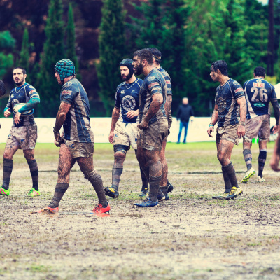 Treinador De Cérebros