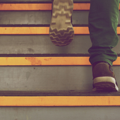 Treinador De Cérebros