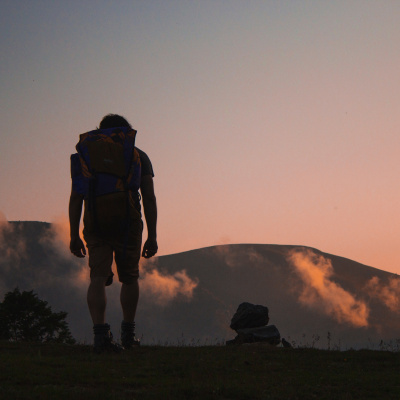 Treinador De Cérebros