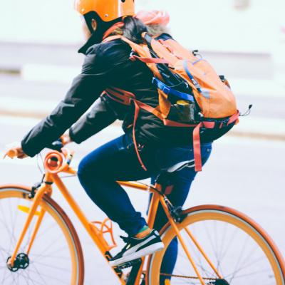 Treinador De Cérebros