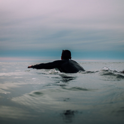 Treinador De Cérebros