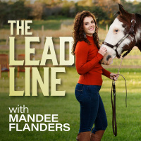 The Leadline 42: Side Hustle Ideas for Equestrians