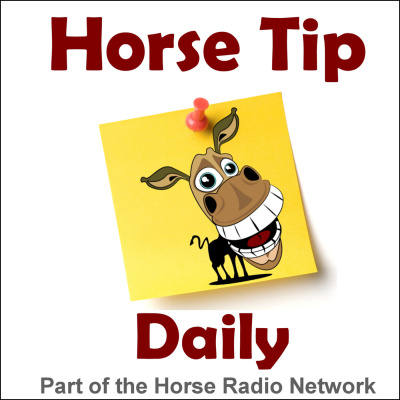 All Shows Feed | Horse Radio Network