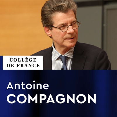 Littérature Française Moderne Et Contemporaine : Histoire, Critique, Théorie