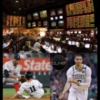 Joe Murray: Not So Fast On Sports Betting