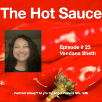 THS Ep 23 - Vandana Sheth