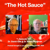 THS Ep 31 - Dr. David Gee  Dr. Ethan Bergman