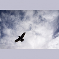 When your doctor gives you a death sentence - DrG Interviews Chanel White the Tube Fed Wife