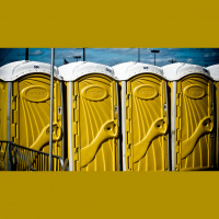 7 Real Reasons for Constipation - Free Yourself from Suffering and Laxatives