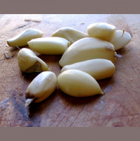 Can you use garlic to treat SIBO? Food vs supplements