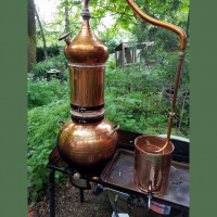 Can simple natural therapies help serious disease? DrG talks with Dr. Nancy Welliver