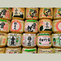 Fermented foods vs supplements for gut healing