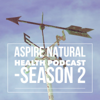 ANH Podcast - Season 2, Episode 4 - Why programs help people get better faster and easier!