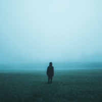 Brain fog, probiotics, and SIBO - Part 1