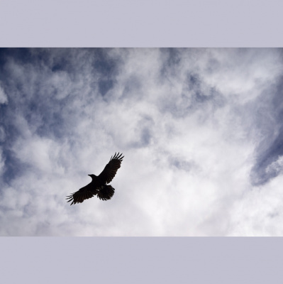 Aspire Natural Heath