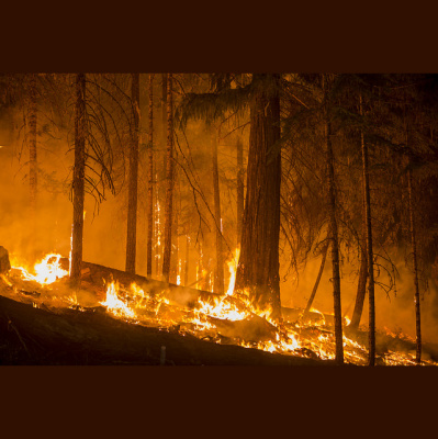 Aspire Natural Heath