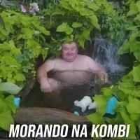 PI 307 - DEPRESSÃO, SEM DINHEIRO amp KOMBI