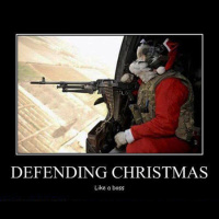 12.22.24: Pre-XMas Think-Piece, w/ Tesla TPMS Recall (or Skillset Fail?), Street Takeover Fight VS Flight, USPS Electric Truck Choke, Murder Hornet VS Desert Helicopter Wasp,  an Excellent Weirdo R.I.P. for Jean Lindamood/Jennings