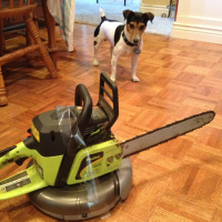 11.05.24 (MP3): No Election Nuthin! Gearhead Escapism w/ a Tesla Graveyard, Fords Bad Hair Day, Exploding Satellites, Spying Roombas, Chrysler Quits Itself, Chinese Electrics, Ford  Deere  Harley  Boeing Kill DIE,  When the Fire Dept. Burns Down