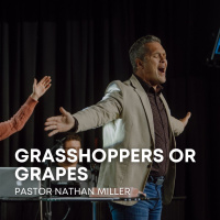 Grasshoppers or Grapes