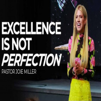 Excellence Is Not Perfection