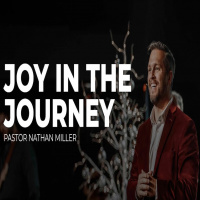 Joy in the Journey