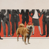 DId Congress Kill DOGE?