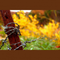 Second Unit #49 – High Tension [dt. Fassung]