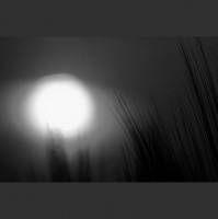 Second Unit #76 – Apocalypse Now (Extended Cut)