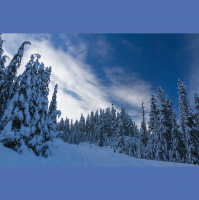 Second Unit #225 – The Revenant (#oWEstern)