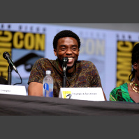 Mini Unit #24 – Black Panther (Ohne Spoiler)