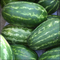 Second Unit #119 – Dirty Dancing