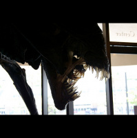 Second Unit Special #06 – Alien