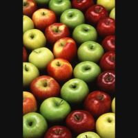 Second Unit #154 – Adams Äpfel