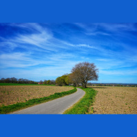 Second Unit #367 – Der Junge muss an die frische Luft (#Filmvorschlag)