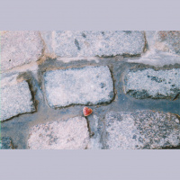 Second Unit #228 – Das Kalte Herz [2016]