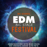 Big Sounds EDM Big Stage Festival