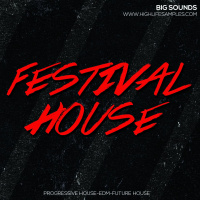 Big Sounds Festival House[Sample Pack-Construction Kits-Midi Files]