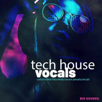 Big Sounds Tech House Vocals