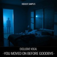 HighLife Samples - You Moved On Before Goodbye