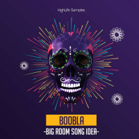 HighLife Samples Boobla -Big Room Song Idea-
