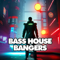 Big Sounds Bass House Bangers