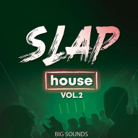 Big Sounds Slap House Vol.2