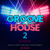 Big Sounds Groove House 2