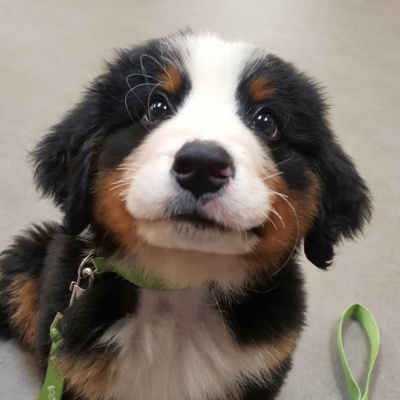 Touching Base With Post Grad Problems