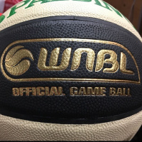 Carry On Luggage 2 2021: Opals, WNBL in the WNBA, player tracker