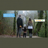 Pacific Crest Trail: Cuz why not!?